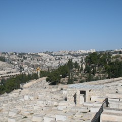 img_0159