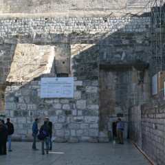 img_0225