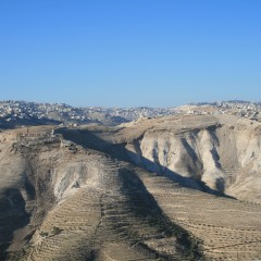 img_0236