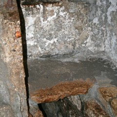 img_0251