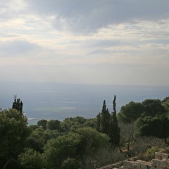 img_0320