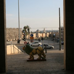 img_0379