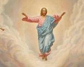 Посмотрите на бабочек