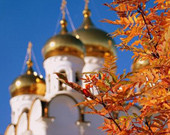 Ноябрь православный