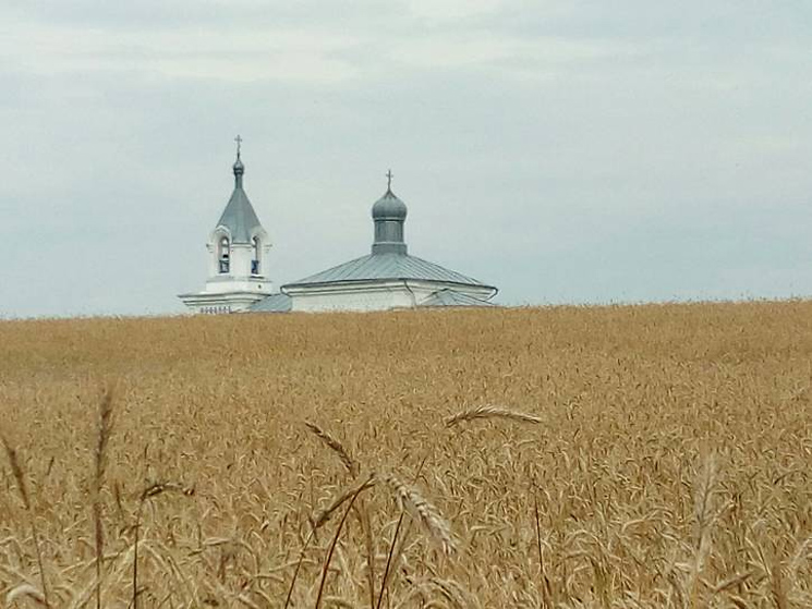 Небесное посольство на Земле